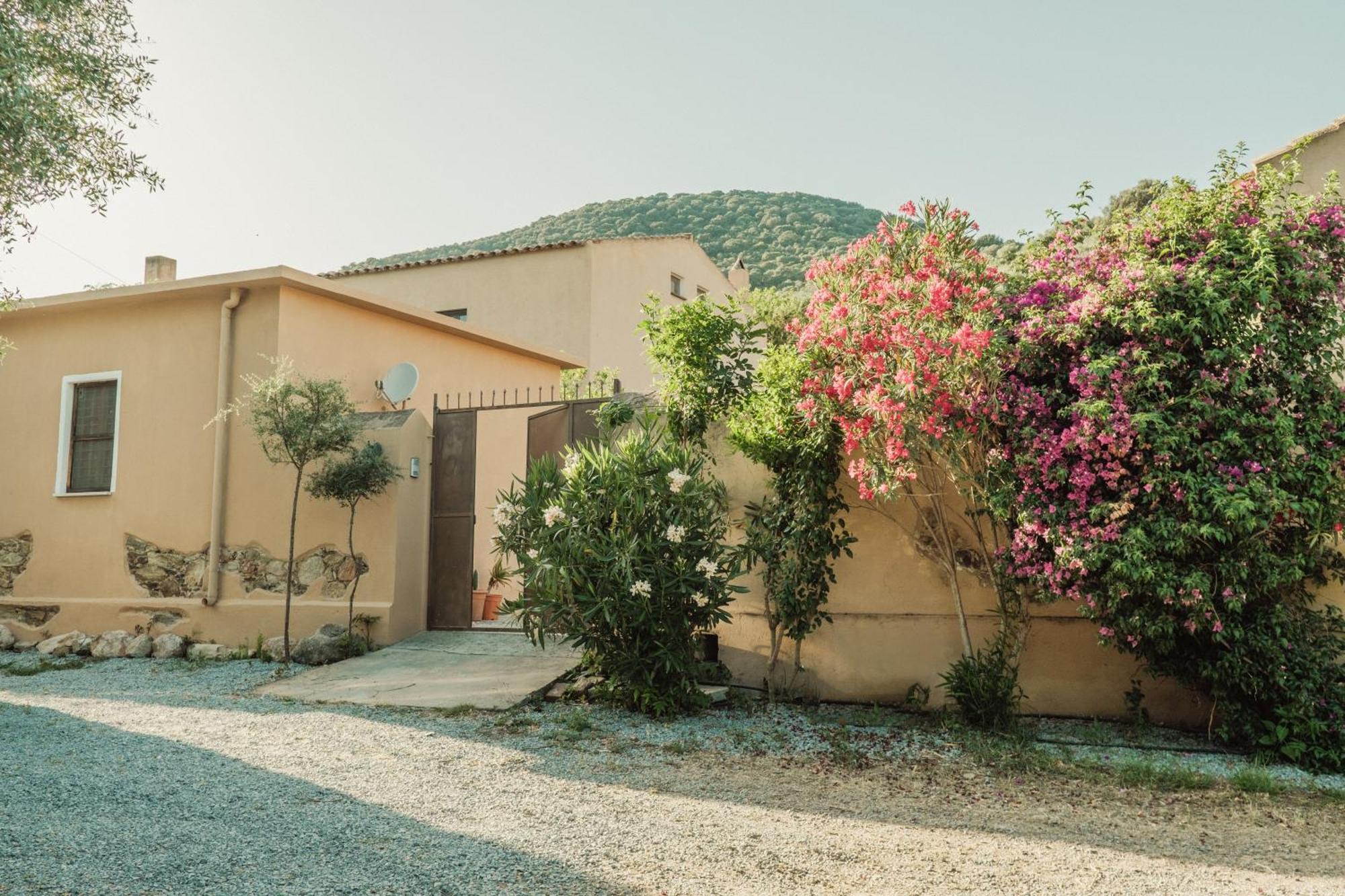Il Casale Villa Teulada Eksteriør billede